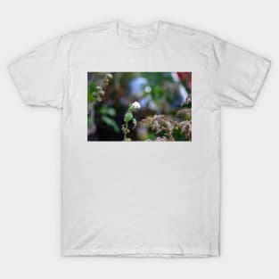 Last stubborn flower blooms T-Shirt